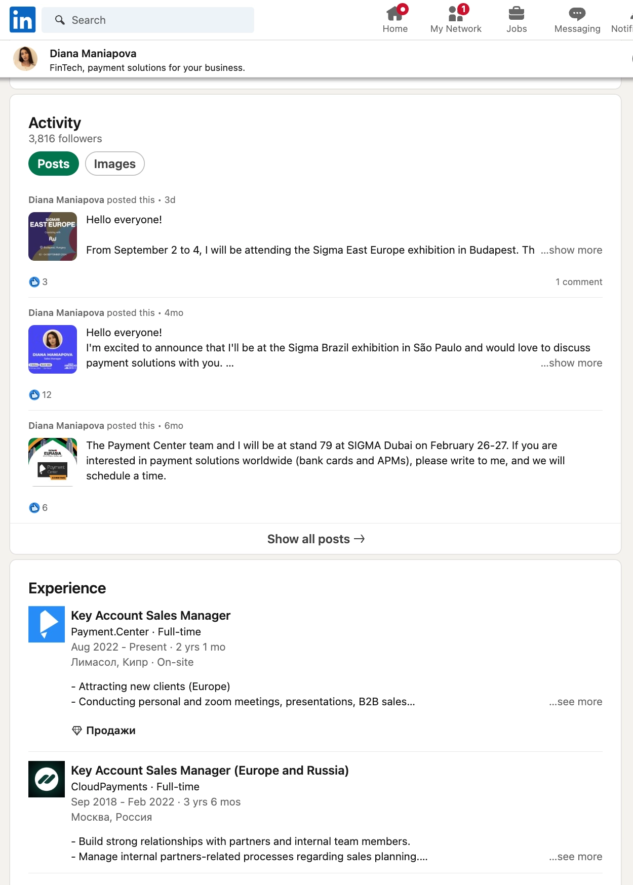 Linkedin Профиль Diana Maniapova до публикации наших расследований